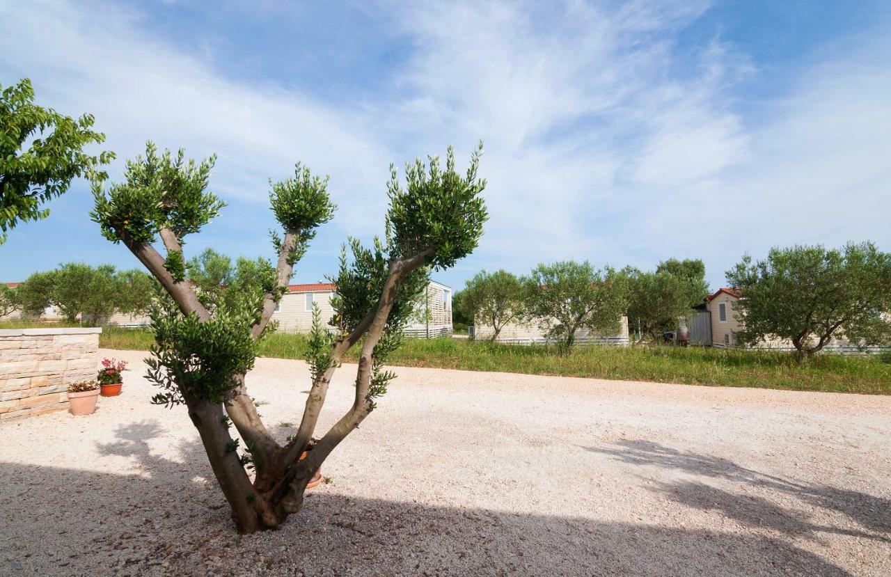 Camp San Antonio Ξενοδοχείο Biograd Na Moru Εξωτερικό φωτογραφία